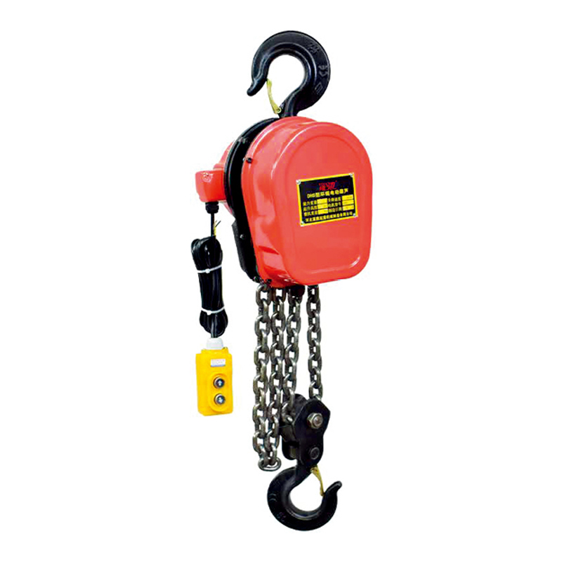 DHS TYPE ELECTRIC CHAIN HOIST